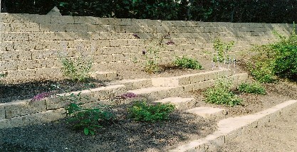 Angelo Gensmantel Gartenkunst Werkname Line